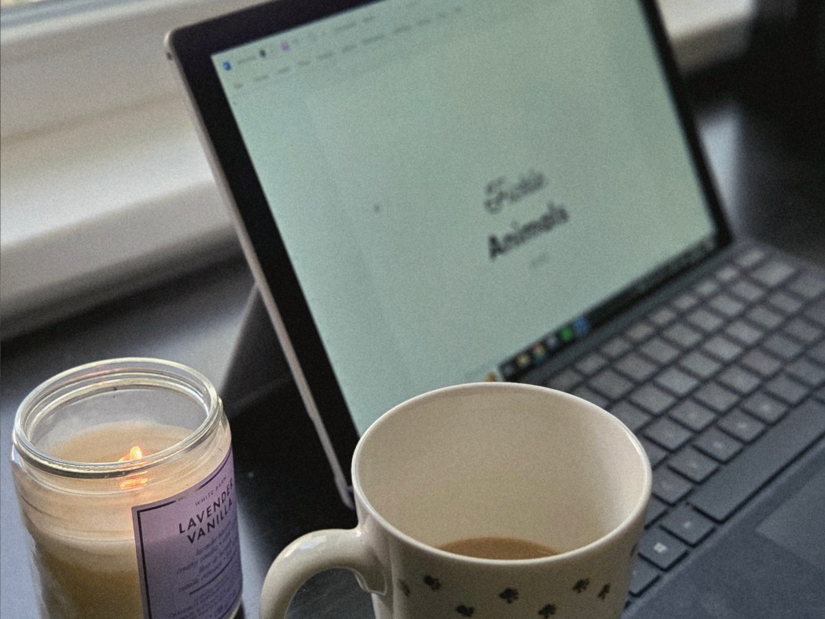 The power of&nbsp;literature