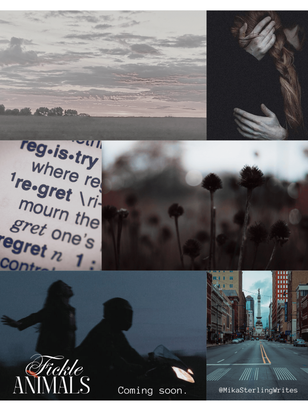 My upcoming novel: Fickle&nbsp;ANIMALS