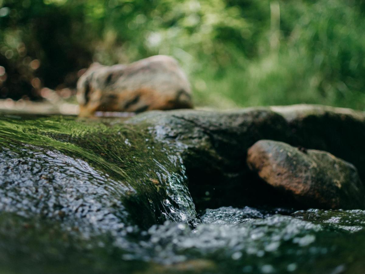 Woes: Writer’s Block