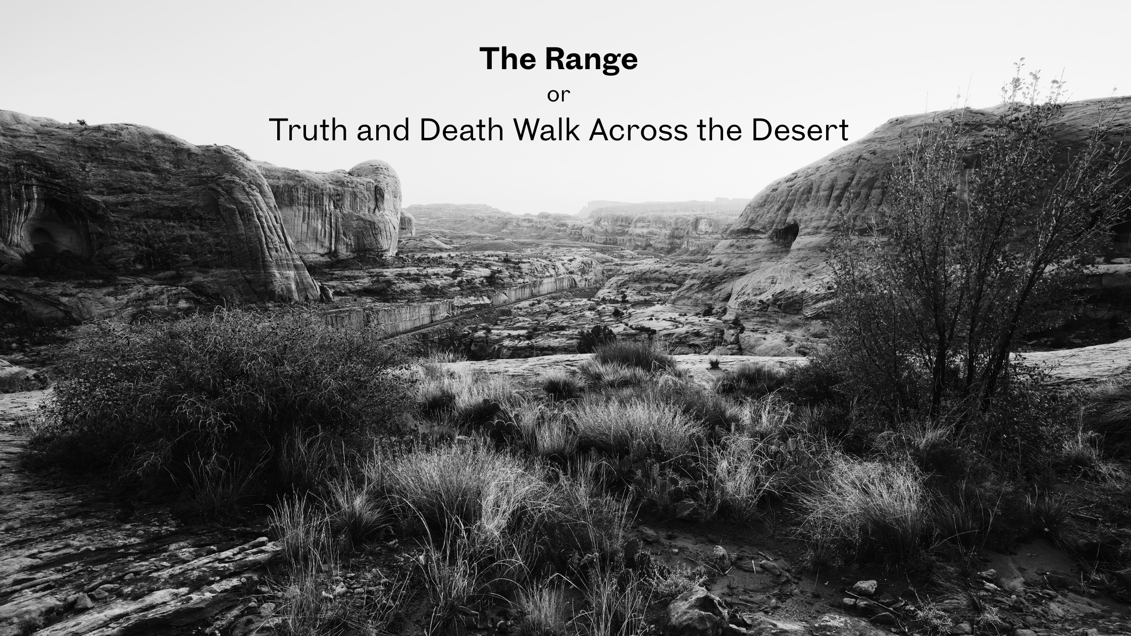 Excerpt from “The Range or Truth and Death Walk Across the Desert”: a short story