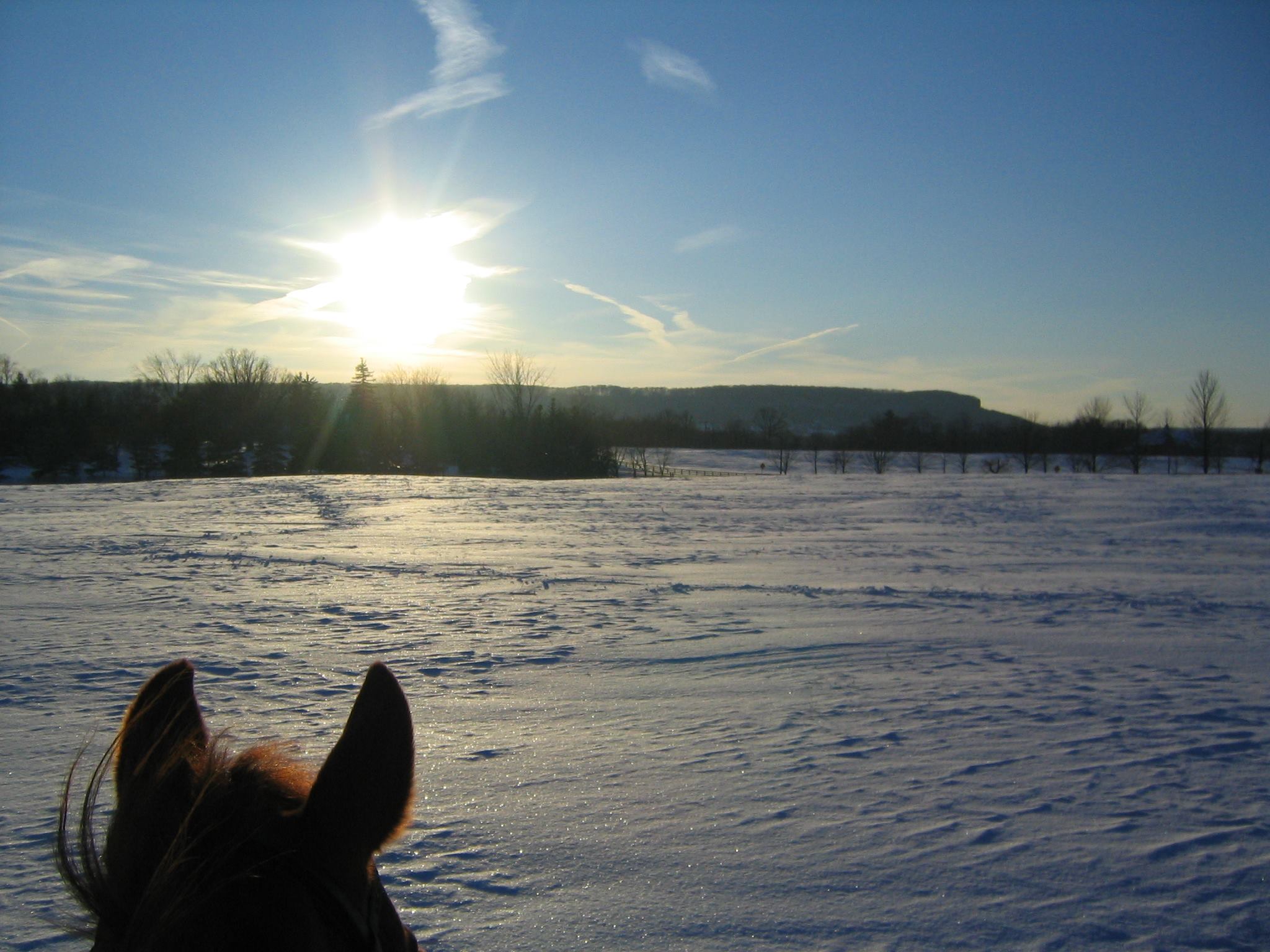 Winter’s Arrival